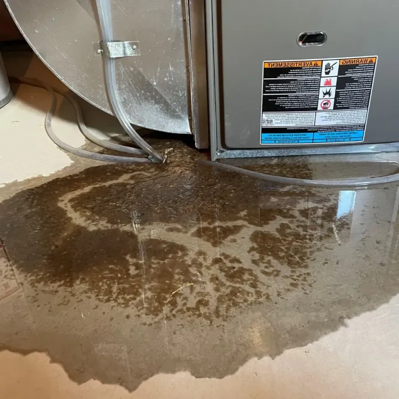Pipe Burst and Leak Restoration in Chagrin Falls, OH
