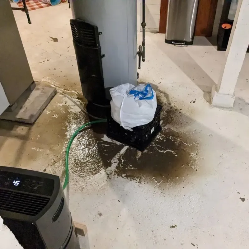 Sewage Backup Cleanup Service in Chagrin Falls, OH